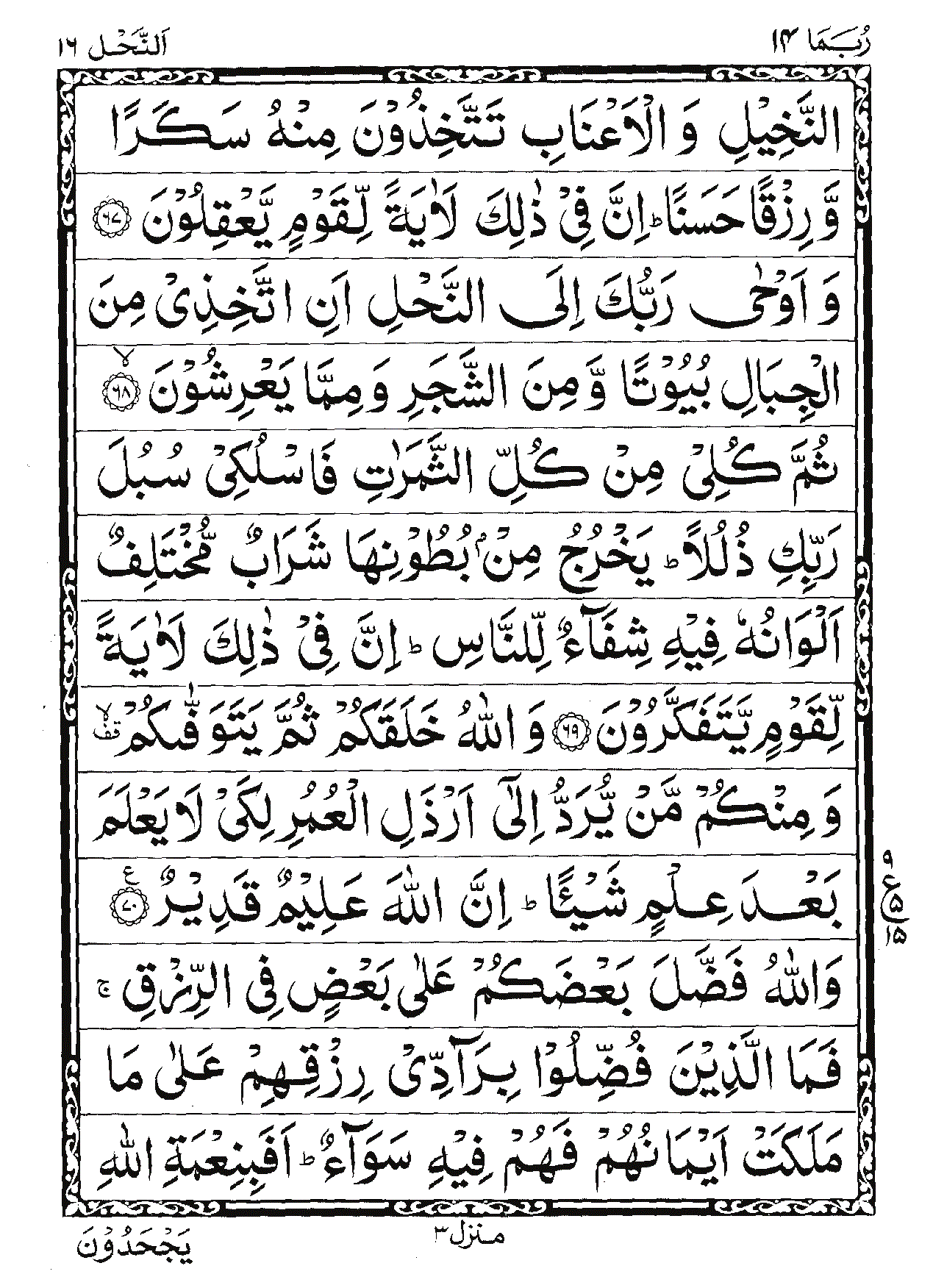 Surah An-Nahl Page 11